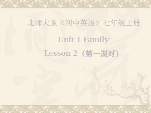 北师大版英语七年级上册Unit 1《Lesson 2 What Do They Look Like》课件1