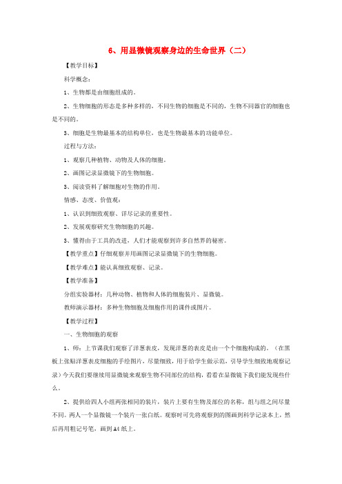 六年级科学下册1.6用显微镜观察身边的生命世界二教案教科版