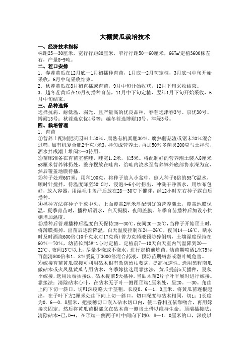 大棚黄瓜裁培技术