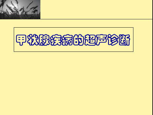 甲状腺超声-ppt课件
