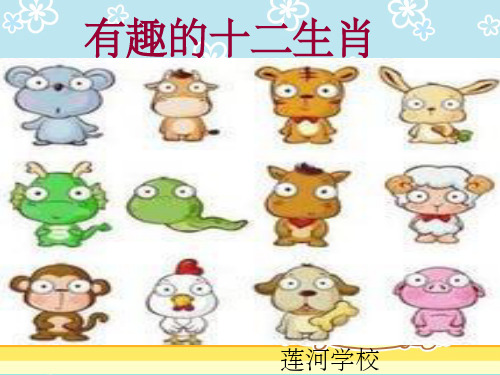 小学综合实践活动《有趣的十二生肖》ppt课件