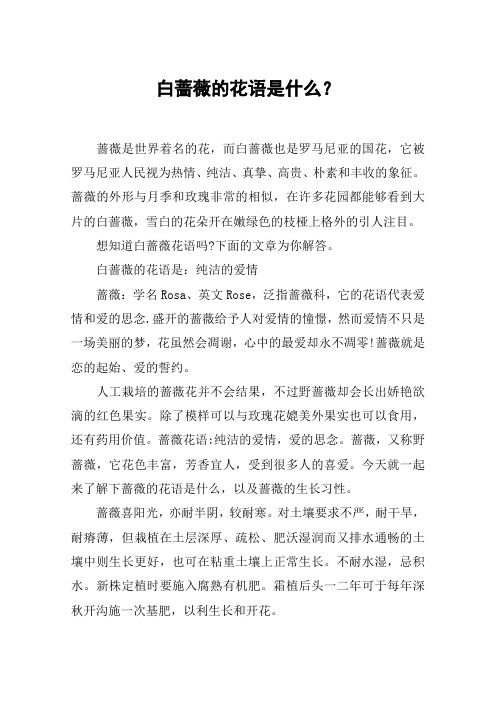 白蔷薇的花语是什么？