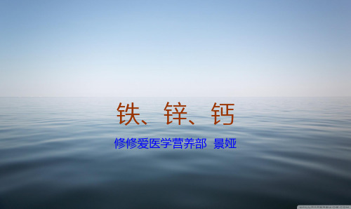 钙铁锌PPT课件