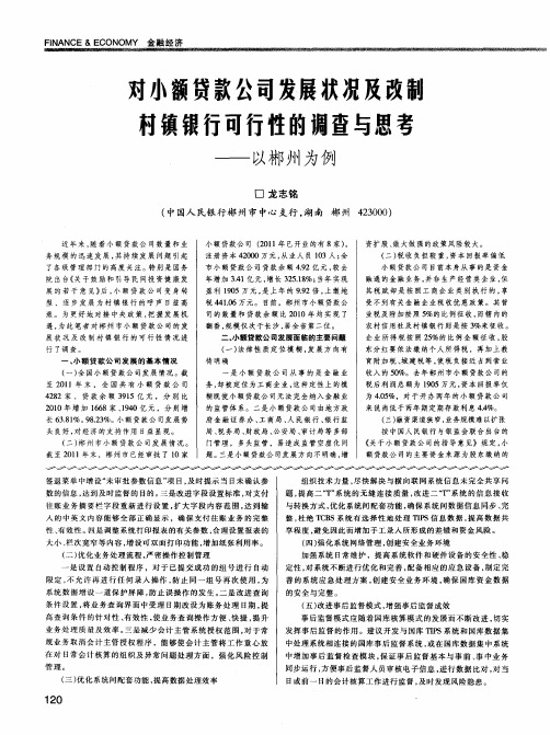 对小额贷款公司发展状况及改制村镇银行可行性的调查与思考——以郴州为例