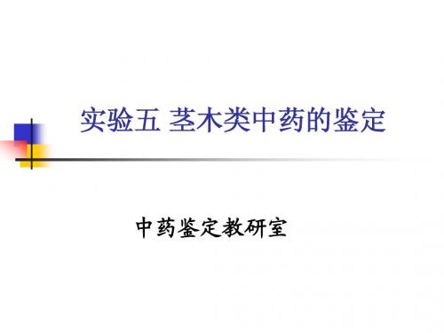 实验五 茎木类中药的鉴定