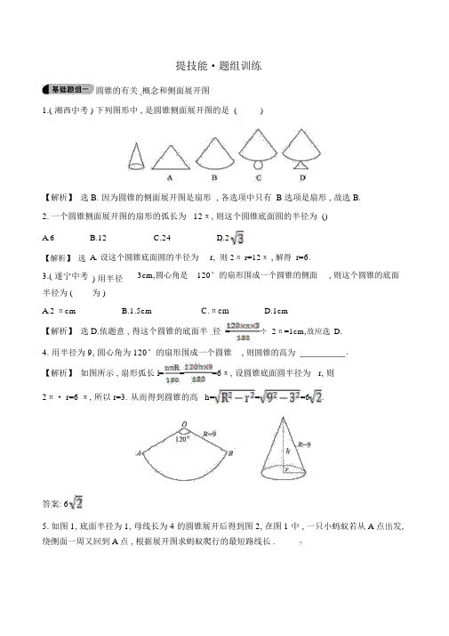 人教版九年级数学上册《圆锥、圆锥的侧面积和全面积》题组训练(含答案解析)