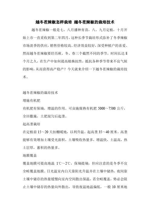 越冬茬辣椒怎样栽培 越冬茬辣椒的栽培技术.doc