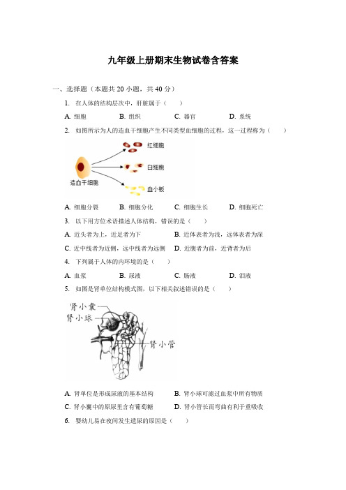 九年级上册期末生物试卷含答案精选5份