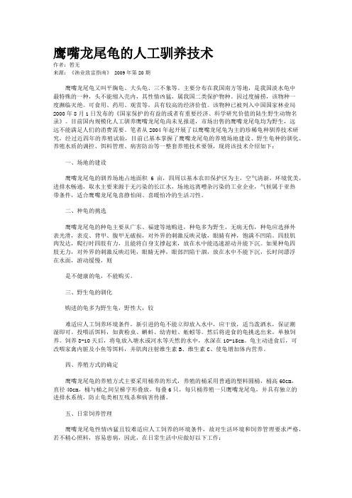 鹰嘴龙尾龟的人工驯养技术