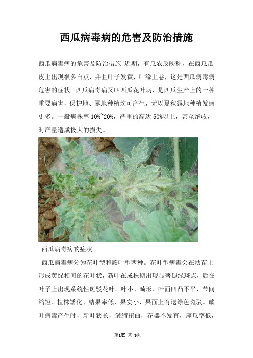 西瓜病毒病的危害及防治措施