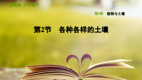 浙教版科学八年级下册第四章《植物与土壤》4.2 各种各样的土壤