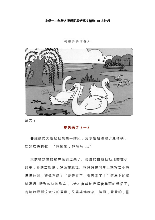 小学一二年级各类看图写话范文精选