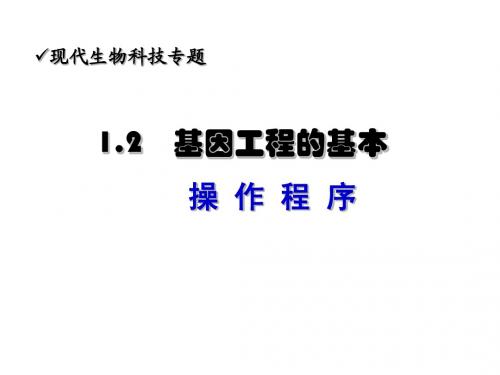 人教版教学课件湖南省安仁一中生物必修三《12基因工程的基本操作程序》课件