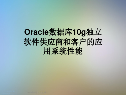 Oracle数据库10g独立软件供应商和客户的应用系统性能