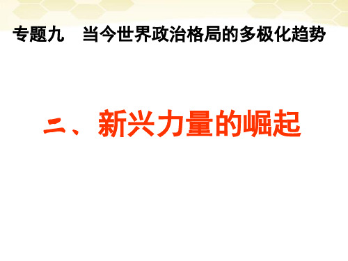 高中历史必修一《专题九当今世界政治格局的多极化趋势二新兴力量的崛起》356