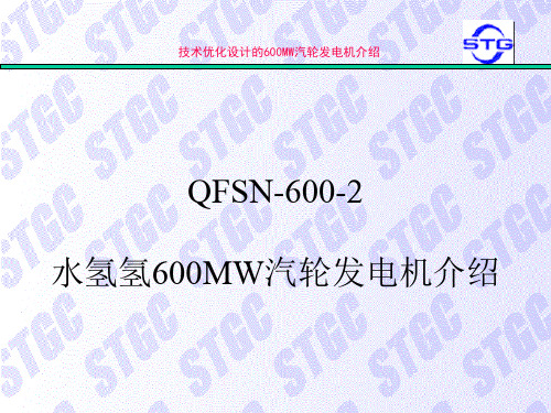 600MW发电机介绍解析