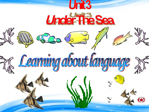 选修七Unit3 Under the Sea (Using language 公开课)