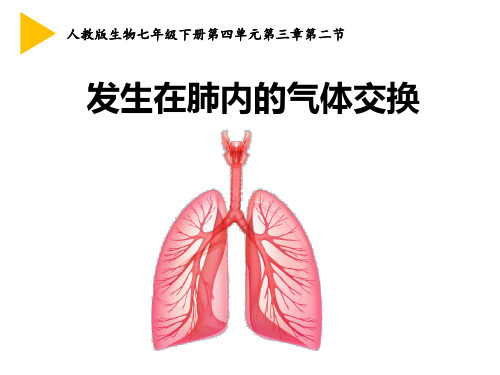 人教版生物七年级下册第四章第三章第二节 发生在肺内的气体交换课件(共19张PPT)