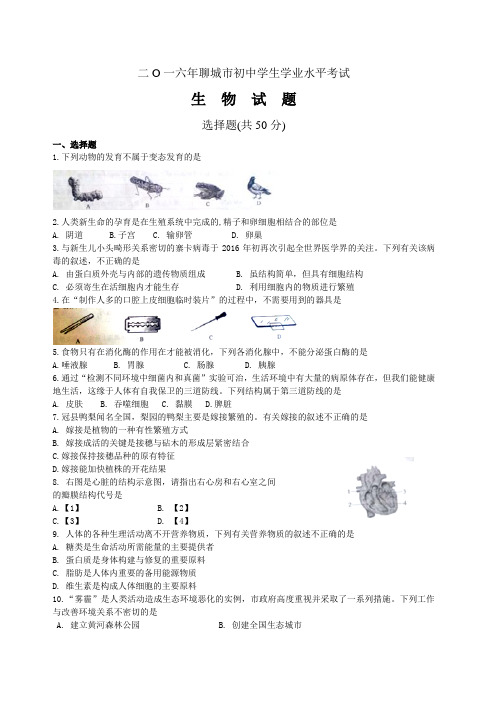 2016聊城生物中考试题
