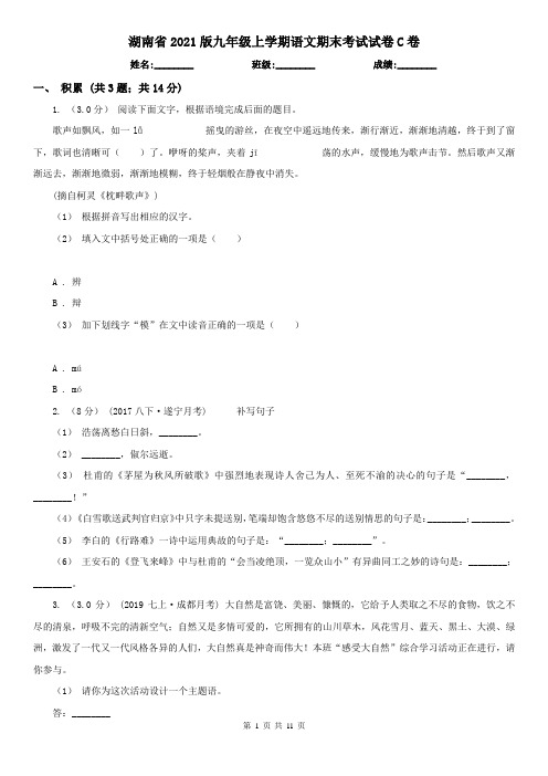 湖南省2021版九年级上学期语文期末考试试卷C卷(精编)