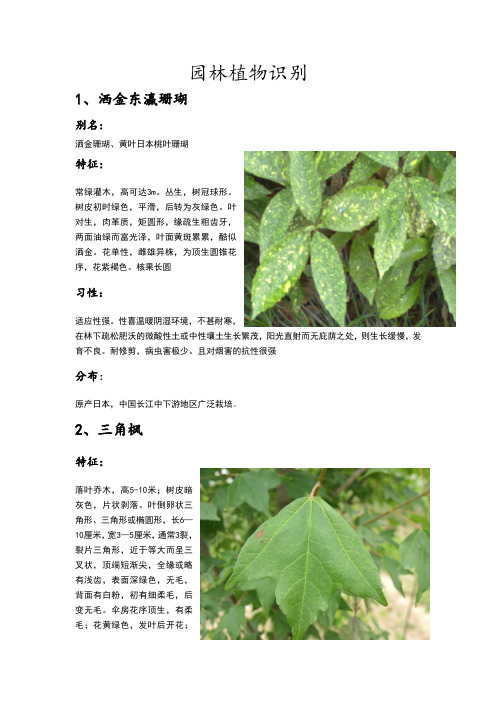 园林植物识别