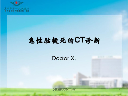 急性脑梗死的CT诊断ppt课件