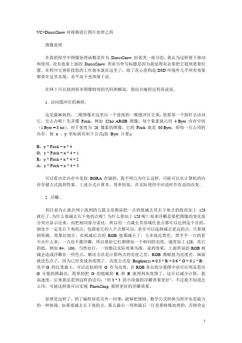 VC+DirectShow对视频进行图片处理