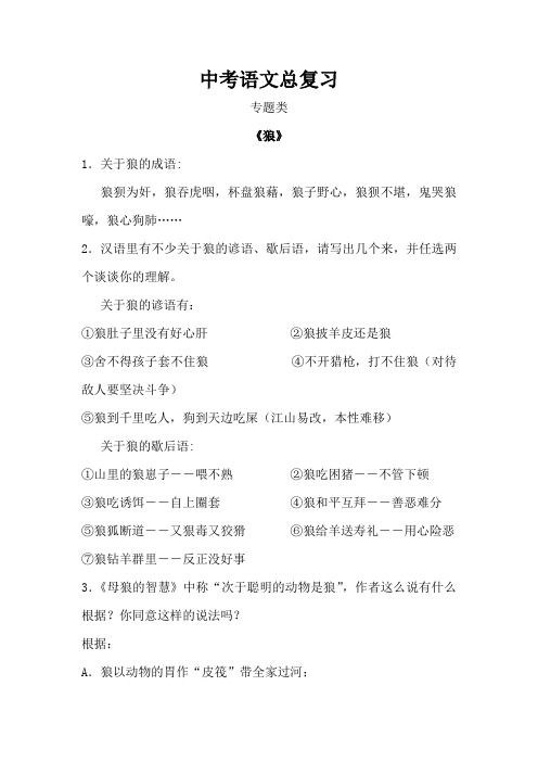 中考语文专题类总复习资料大全