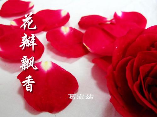 《花瓣飘香》 精品PPT课件(共12张)