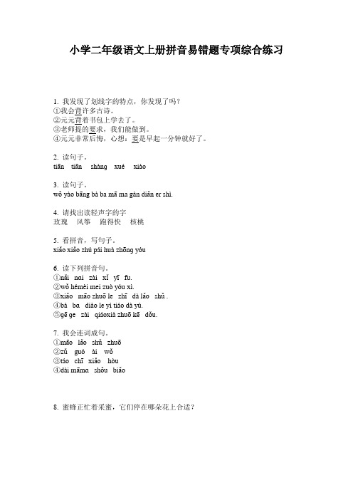 小学二年级语文上册拼音易错题专项综合练习