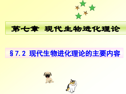 高中生物人教版必修二7.2现代生物进化理论的主要内容2021