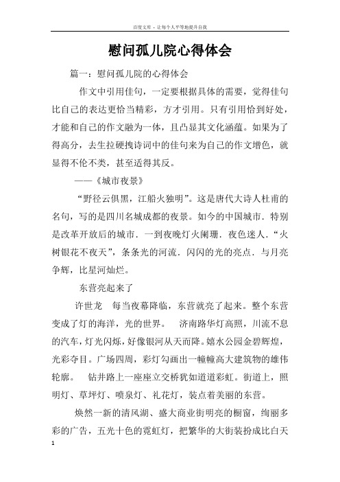 慰问孤儿院心得体会