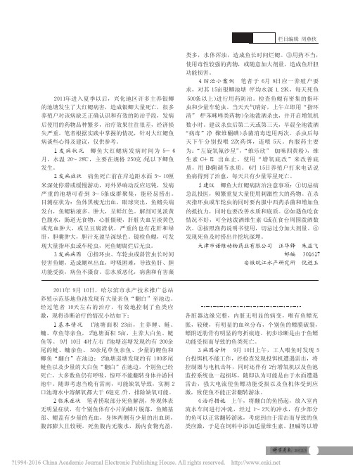 苏北兴化鲫鱼大红鳃病的防治小案例