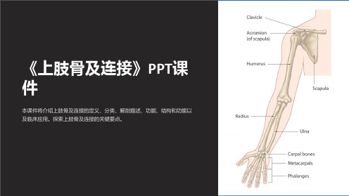 《上肢骨及连接》课件