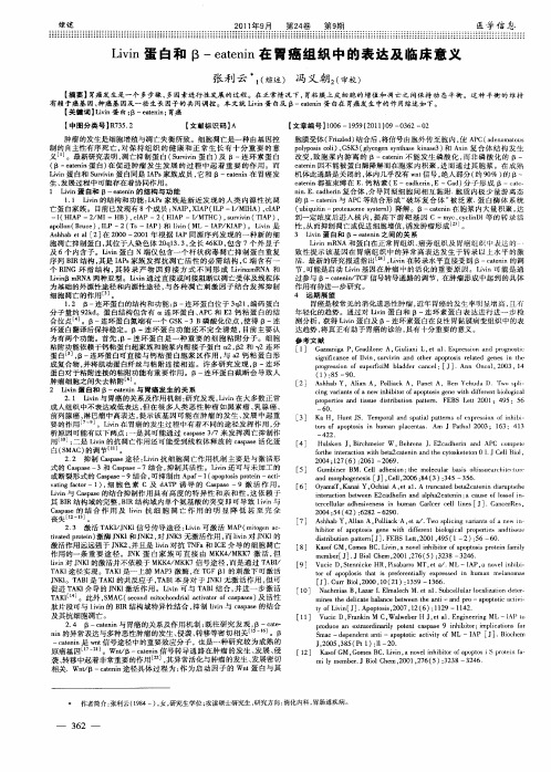 Livin蛋白和β-eatenin在胃癌组织中的表达及临床意义
