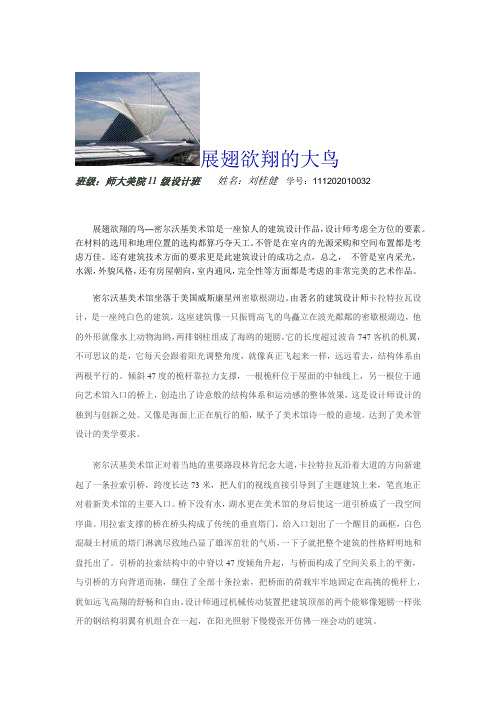 展翅欲翔的大鸟