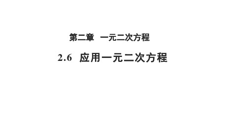 北师大版九年级数学上册2.6应用一元二次方程 课件(共17张PPT)