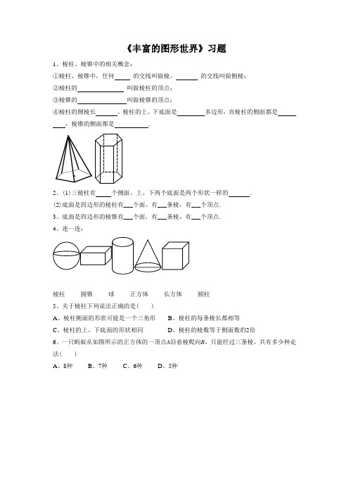 《丰富的图形世界》习题1