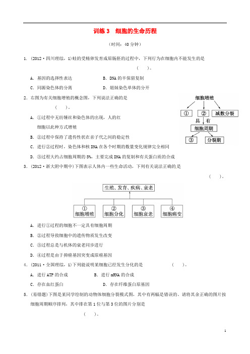 2013年高考生物二轮复习专练 专题3 细胞的生命历程 新人教版
