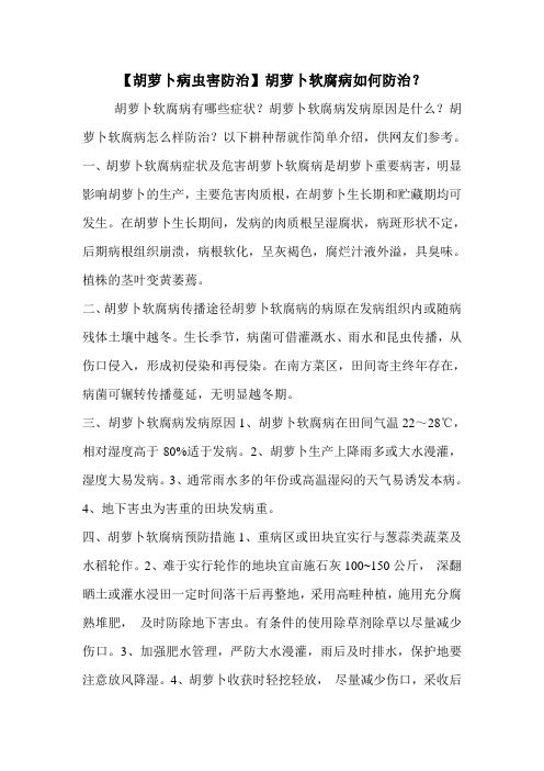 【胡萝卜病虫害防治】胡萝卜软腐病如何防治？