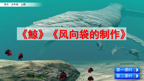 部编版小学语文五年级上册教学PPT课件习作例文