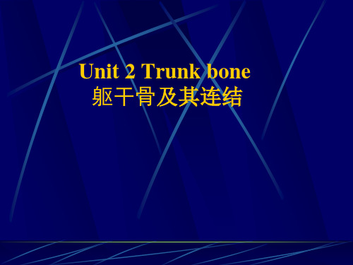 人体解剖学：2 躯干骨及其连接