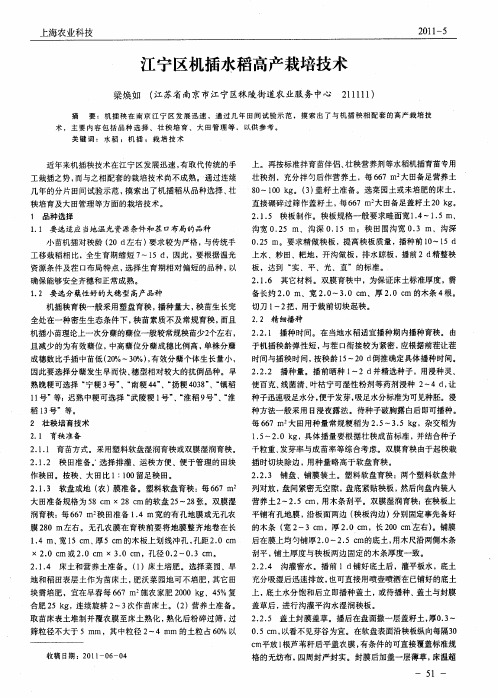 江宁区机插水稻高产栽培技术