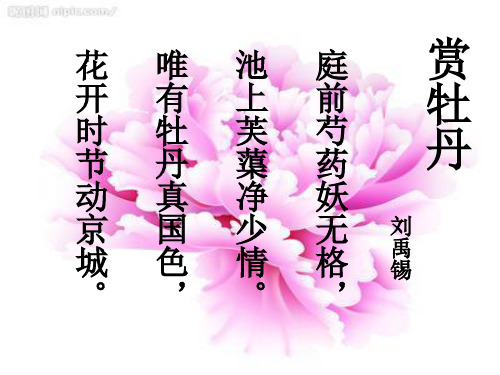 《牡丹的拒绝》课件
