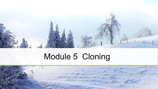 高中英语选修6外研版课件：Module5+Period+Three