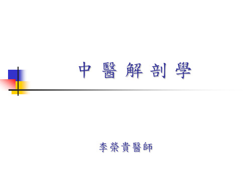 中医解剖学
