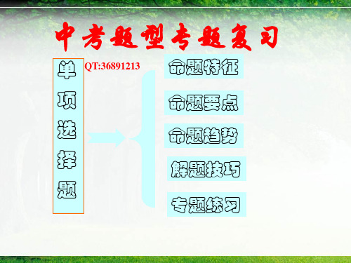 2013 广州中考单项选择题题型说明和巩固策略讲解