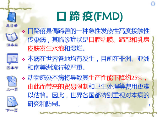 口蹄疫(FMD)