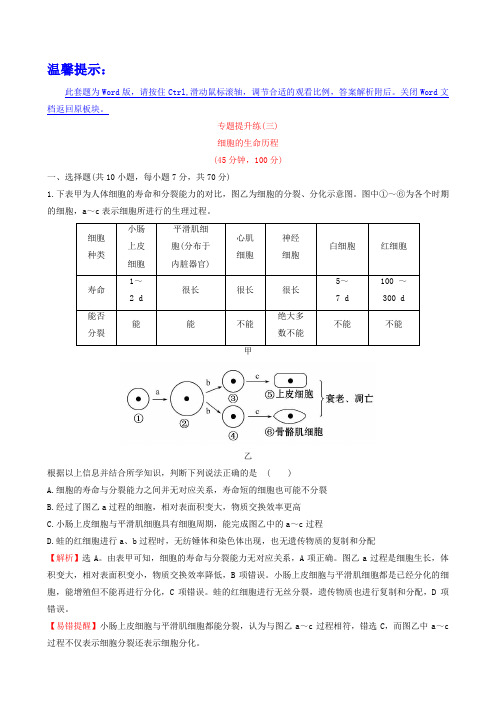 高考生物二轮复习：专题提升练(3)细胞的生命历程(含答案)