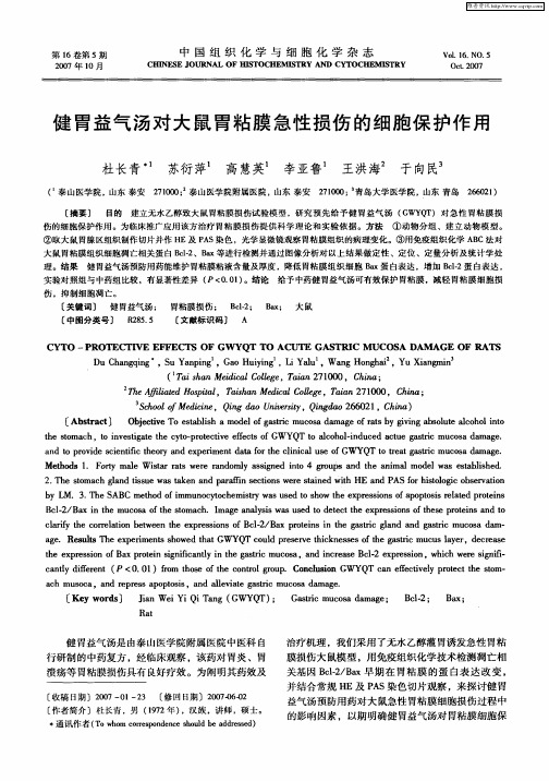 健胃益气汤对大鼠胃粘膜急性损伤的细胞保护作用